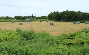 20130720_74-5.jpg